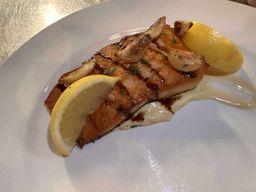 Salmon